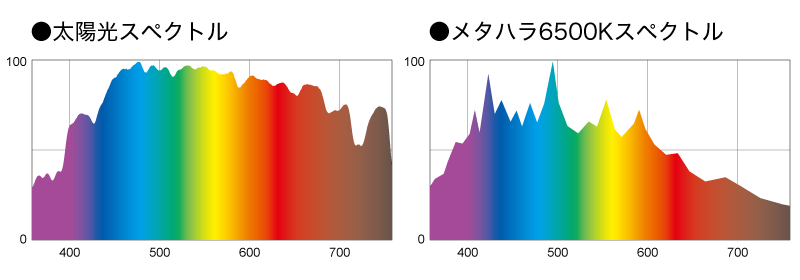 太陽光とメタハラ6500Kのスペクトル比較