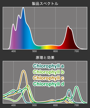 VitalWave Chlorophyllのスペクトル