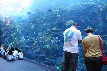 アトランタ水族館