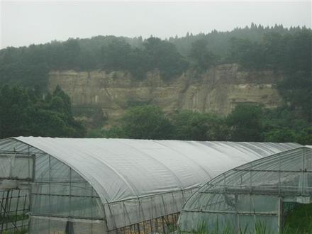 直ぐ裏山が崩れています