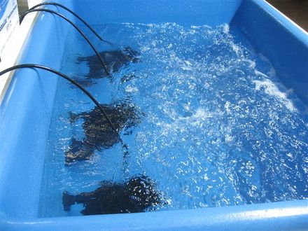 水族館大型水槽用ポンプ