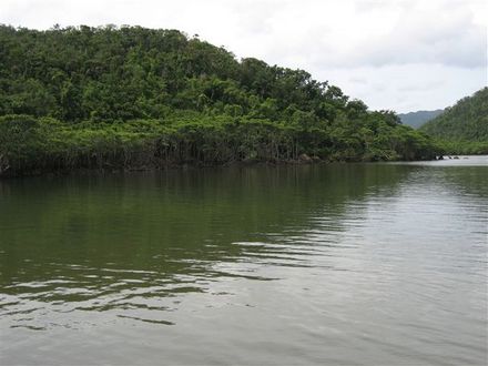 浦内川クルーズ