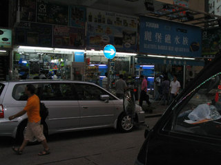 香港の魚町風景 熱帯魚や金魚、海水魚のお店がずらっと並んだ通り