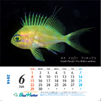 2010年6月カレンダー