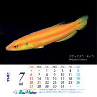 2010年7月カレンダー