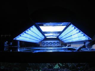 自作の蛍光灯８０Ｗブルー