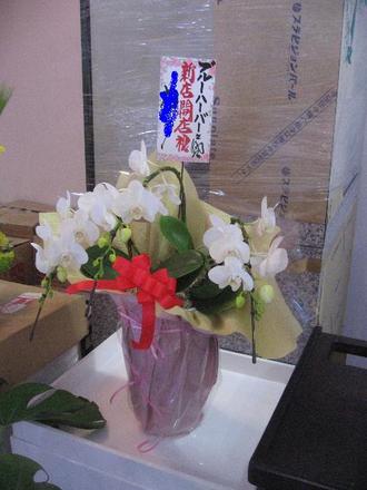 かっしいさん
