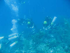 ３８ｍ　で合流