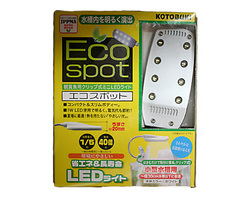 led-koto.jpg