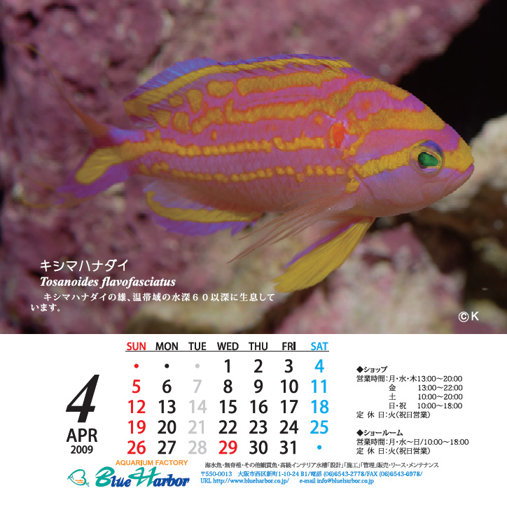 2009年4月カレンダー