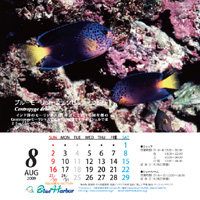 2009年8月カレンダー
