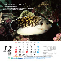 2009年12月カレンダー