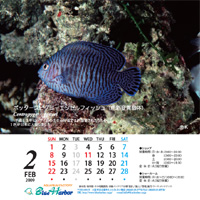 2009年2月カレンダー
