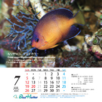 2009年7月カレンダー