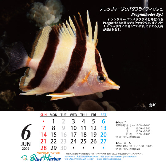 2009年6月カレンダー