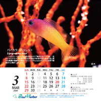 2009年3月カレンダー