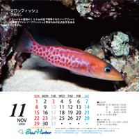 2009年11月カレンダー