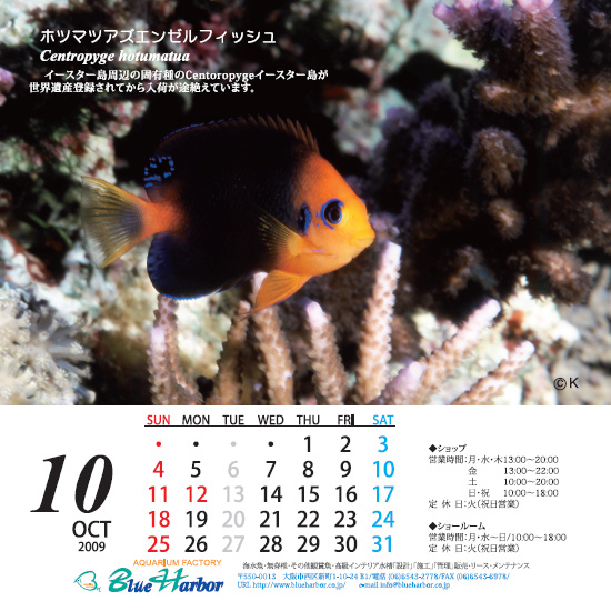2009年10月カレンダー