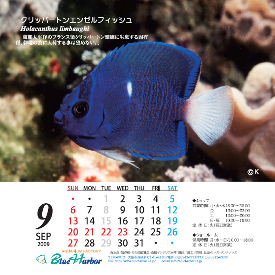 2009年9月カレンダー