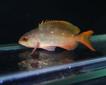IMG_3502.jpg