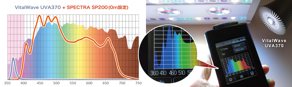 SPECTRAへVitalWaveⅡ UVA370を補完して太陽光再現！