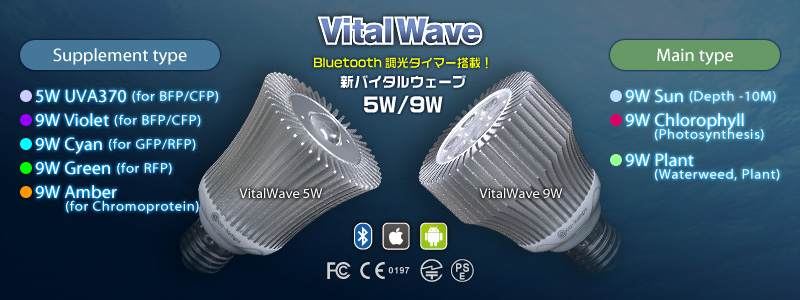 VitalWaveⅡ