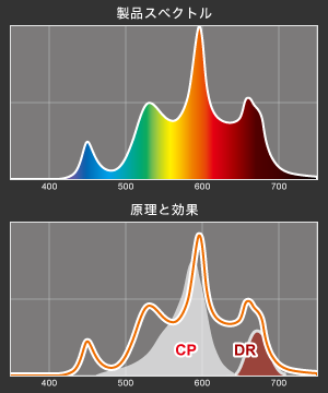 VitalWave Amberのスペクトル