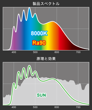 VitalWave Plantのスペクトル