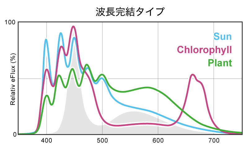 波長完結タイプ