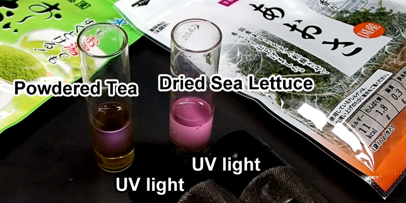 Chlorophyll Fluorescence