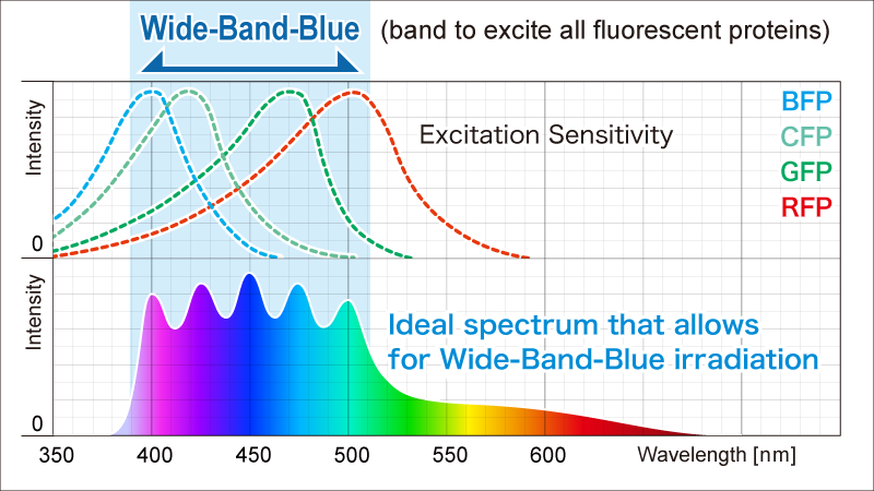 Wide-Band-Blue