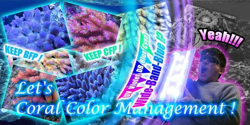 Let's Coral Color Management!