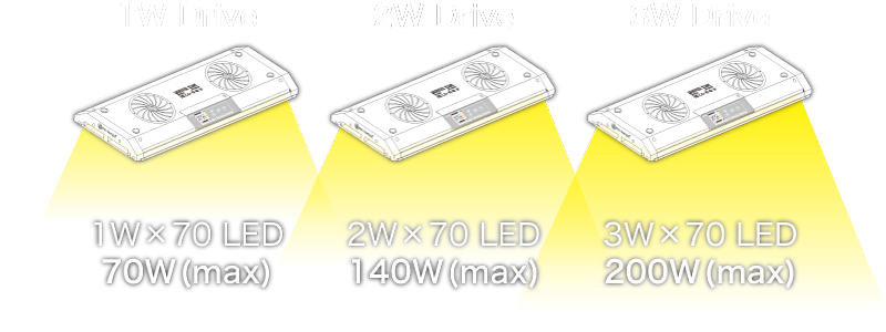 SPECTRA SP200｜BlueHarbor
