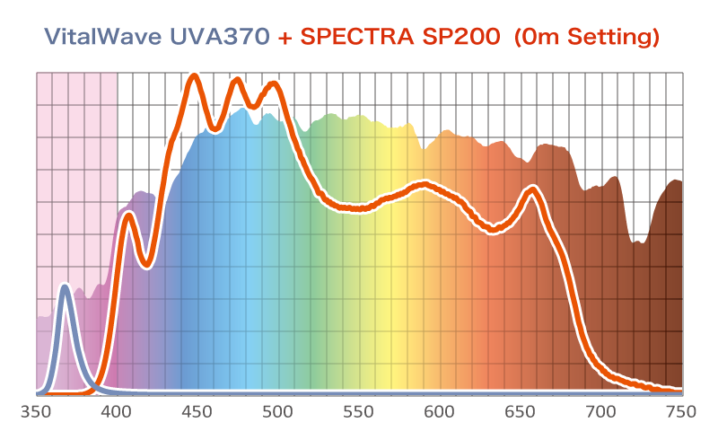 SPECTRA SP200｜BlueHarbor
