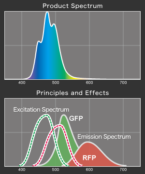 VitalWave Cyan Spectrum