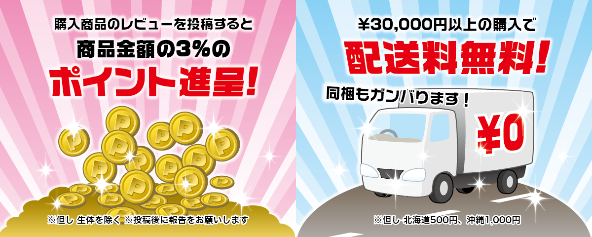 レビュー投稿でポイント進呈！ 30000円以上で送料無料！