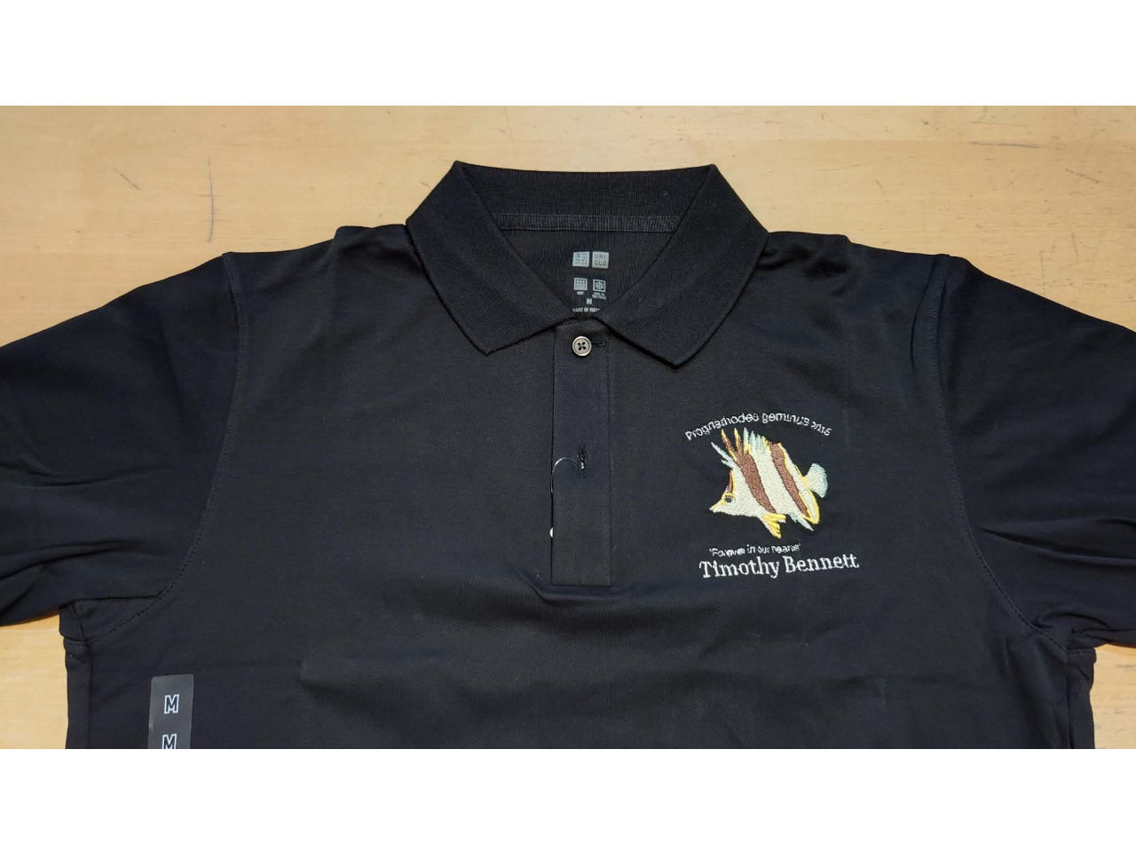 Prognathodes geminus