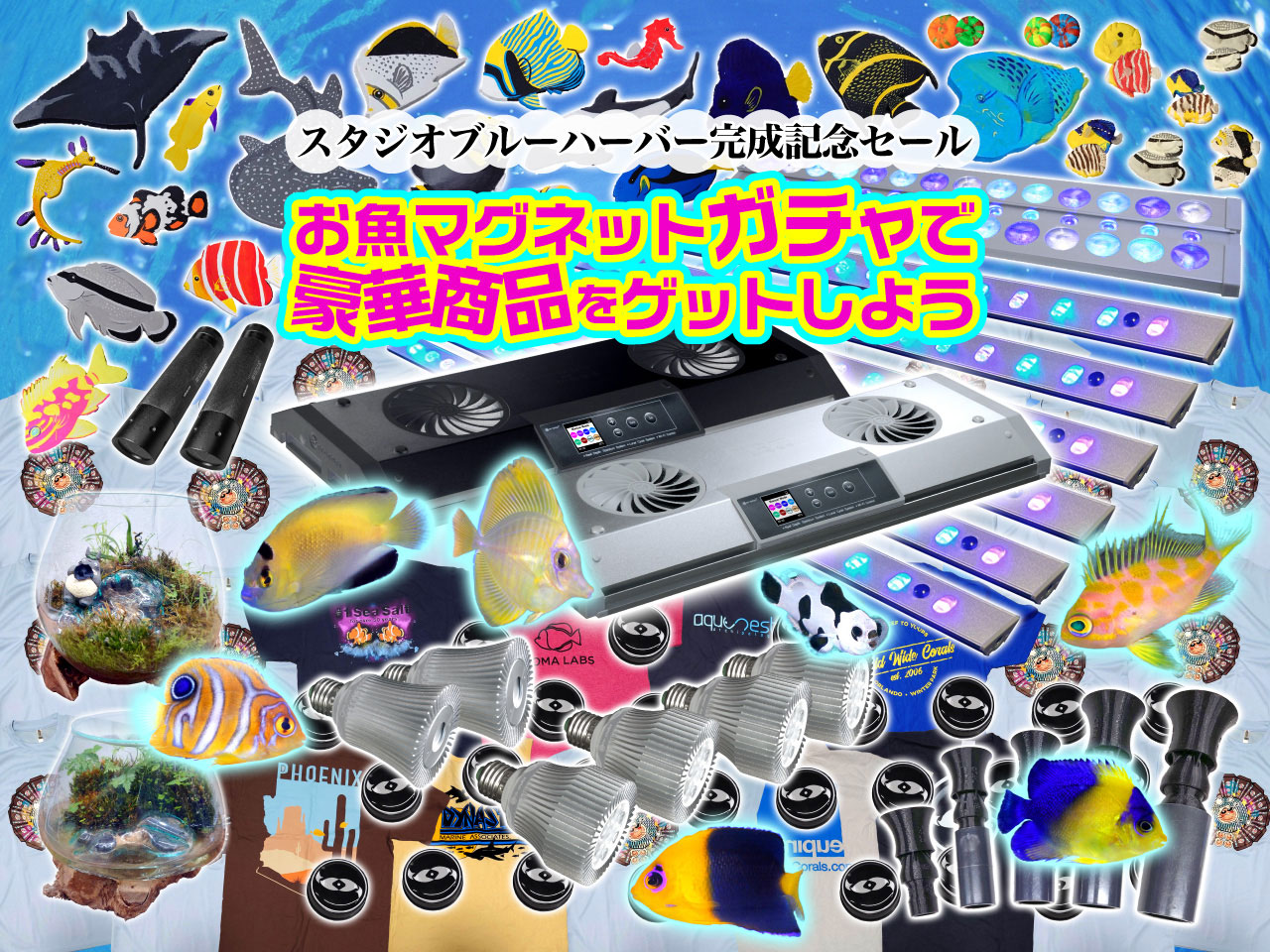 スタジオブルーハーバー完成記念セール